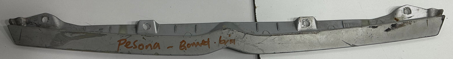 GEN2 FRONT BUMBER MOLDING (PW841750)