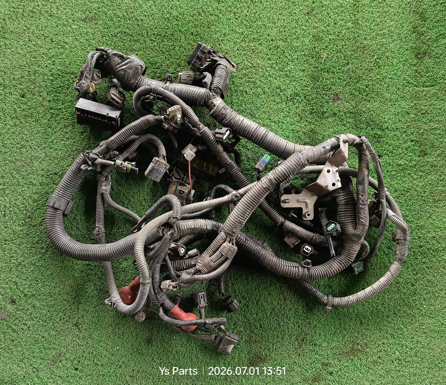 NISSAN NAVARA NP300 ENGINE WIRING (WRG0074)