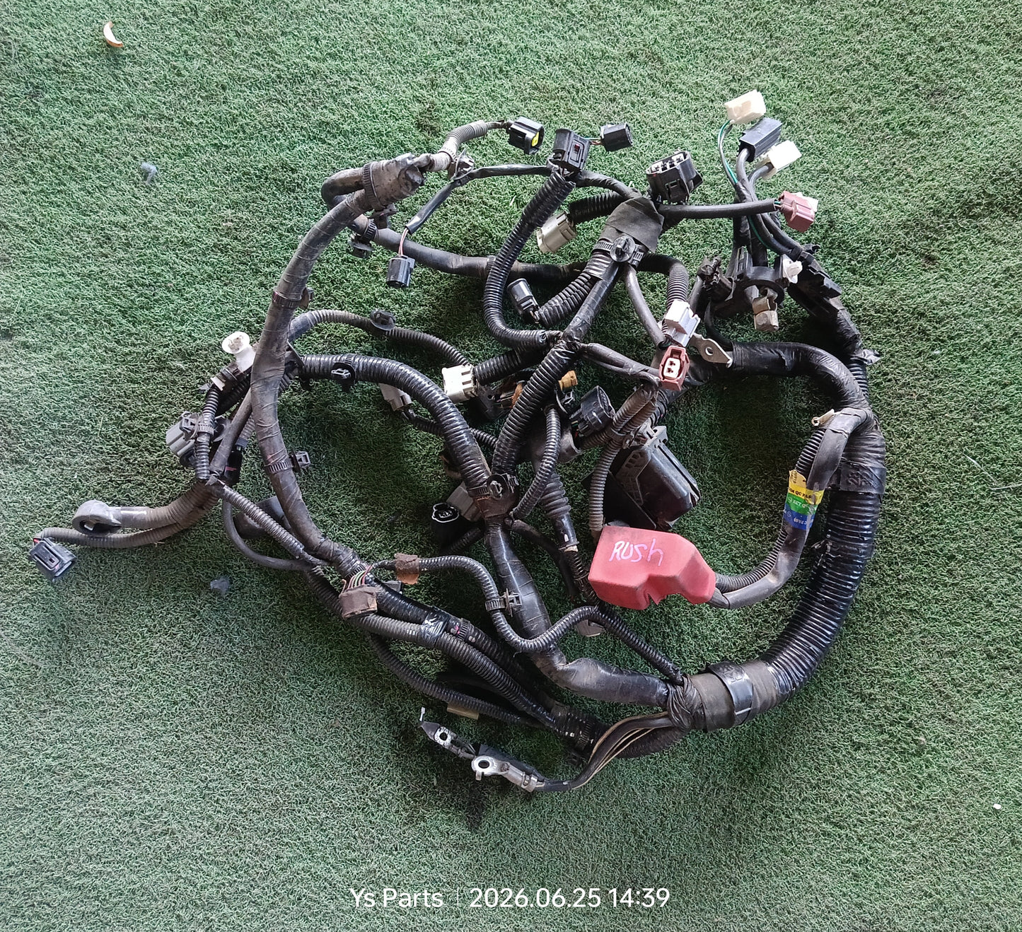 TOYOTA RUSH ENGINE WIRING (WRG0048)