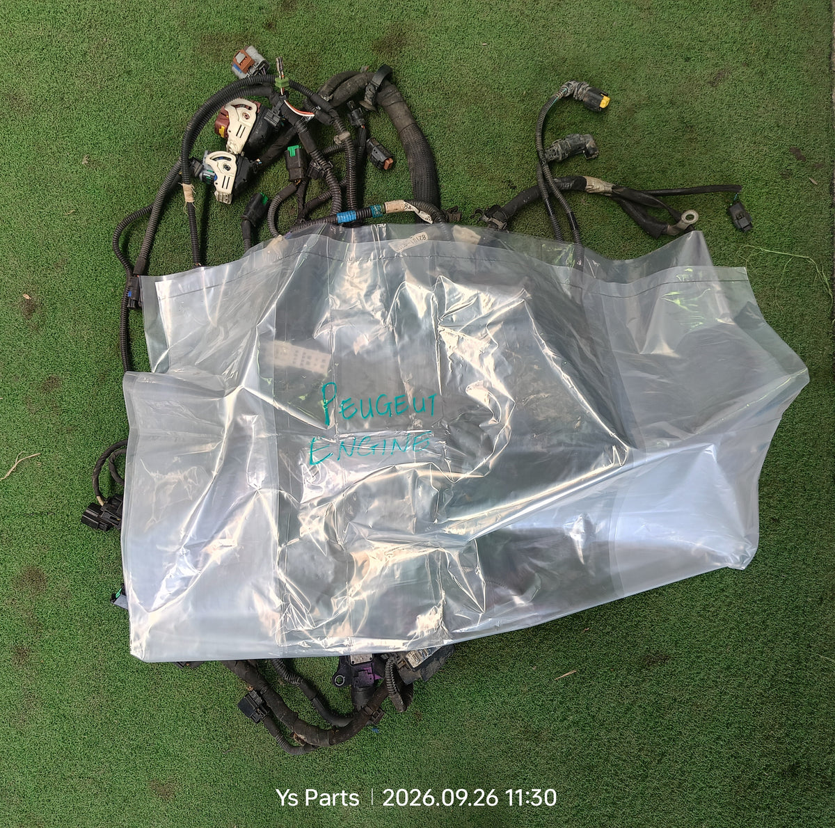 PEUGEOT ENGINE WIRING (WRG0121)