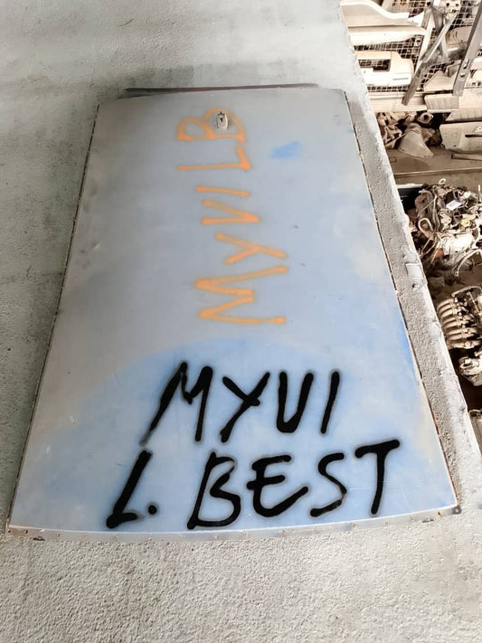 PERODUA MYVI LAGI BEST ROOF PANEL (R0012)