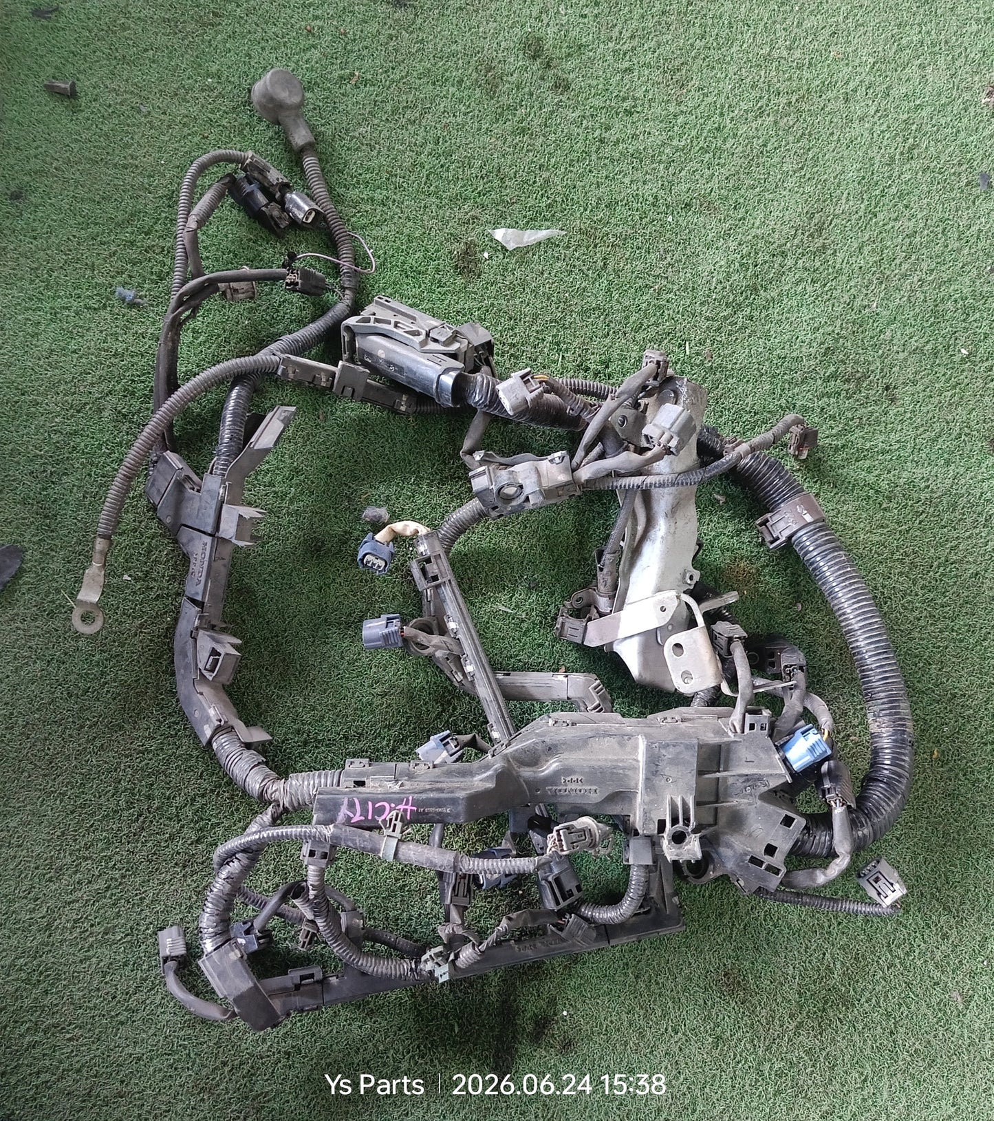 HONDA CITY ENGINE WIRING (WRG0043)