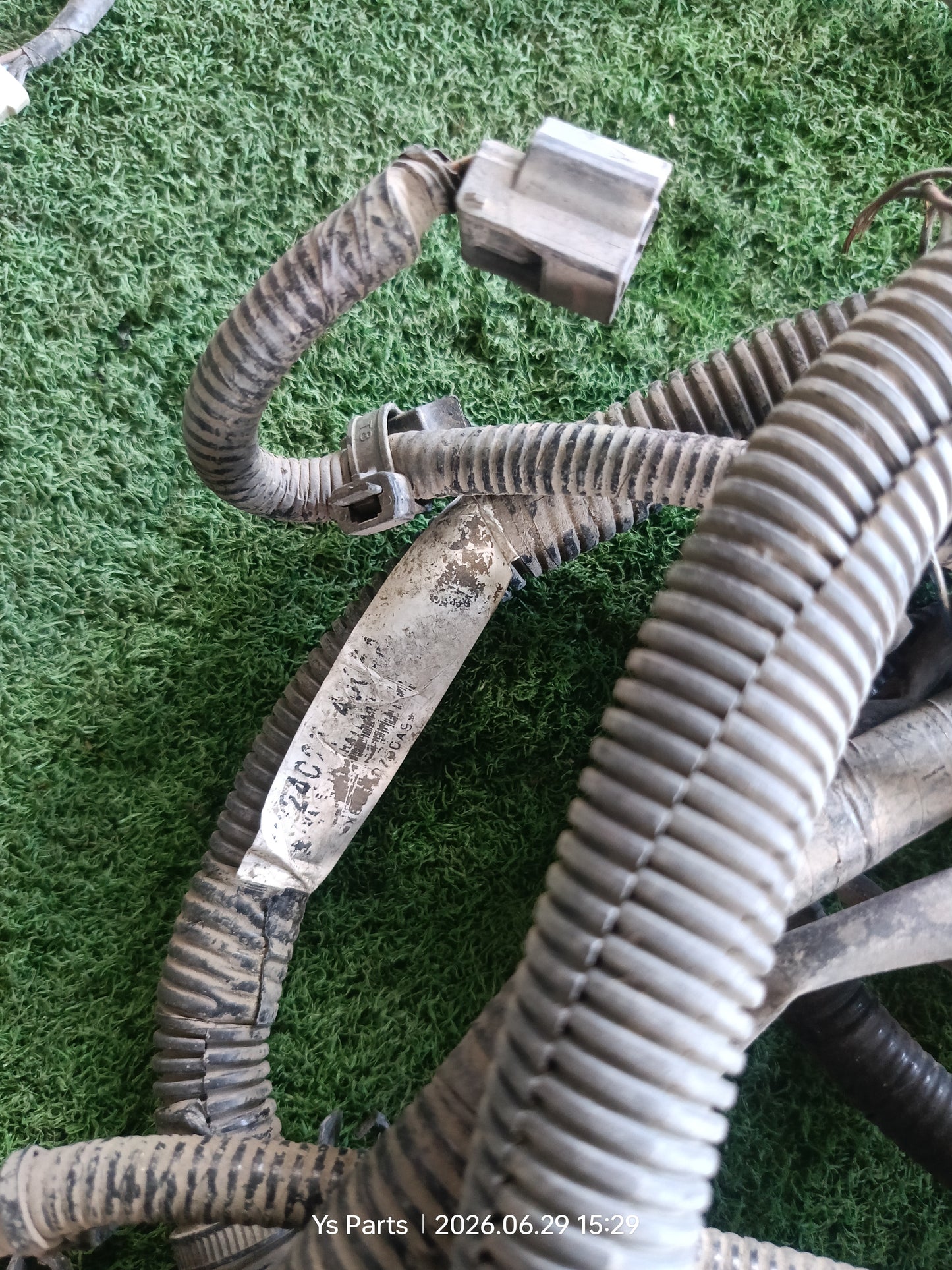 NISSAN NAVARA NP300 FRIME WIRING (24027-4JU54)