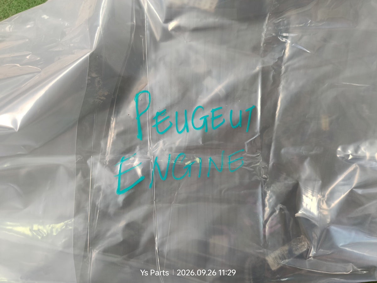 PEUGEOT ENGINE WIRING (WRG0121)