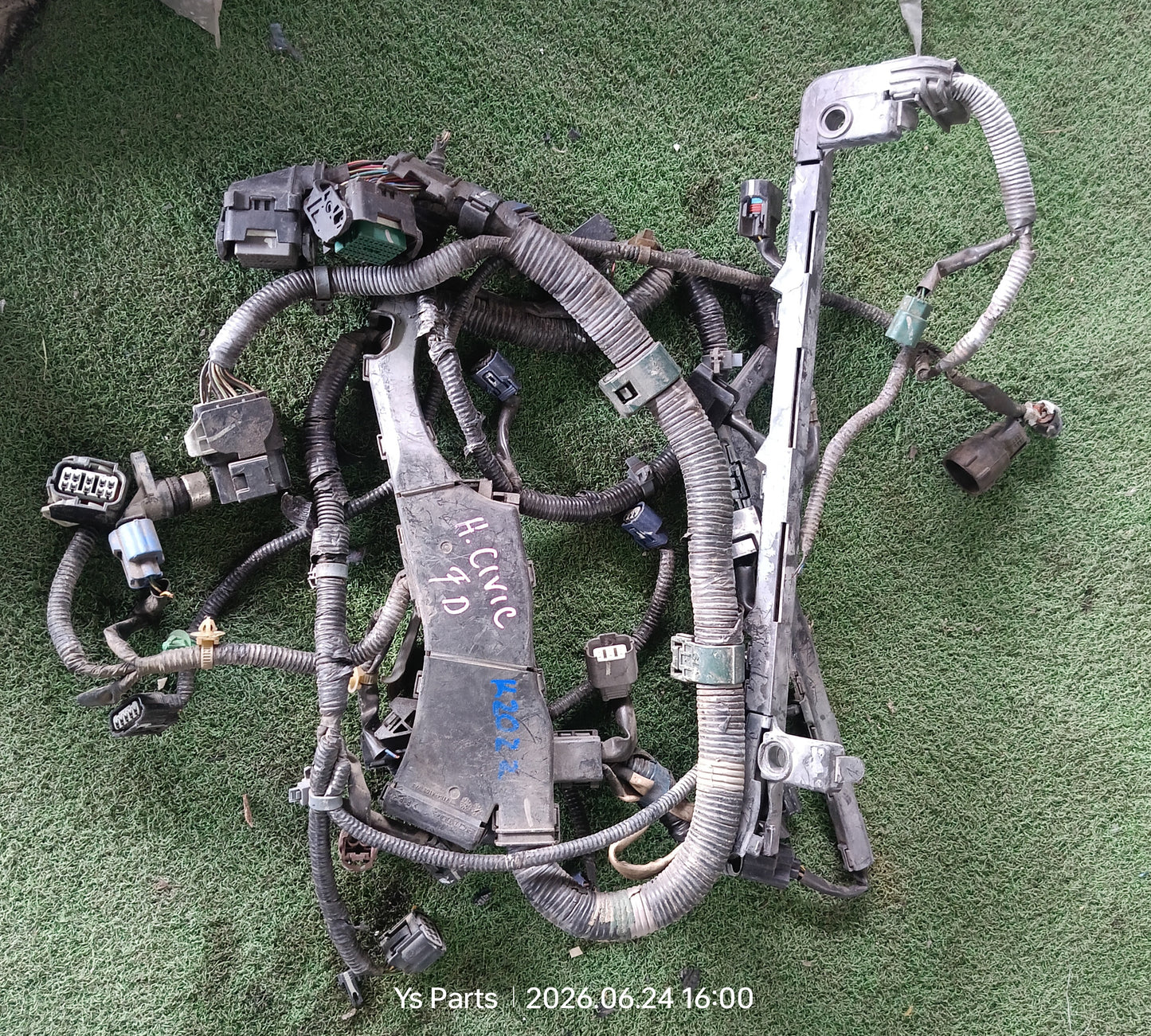HONDA CIVIC FD ENGINE WIRING (WRG0045)