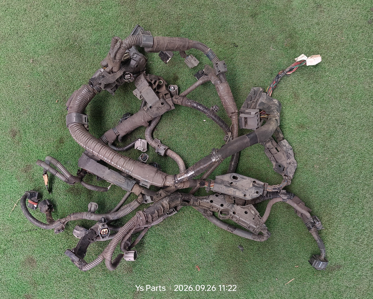 TOYOTA HILUX REVO ENGINE WIRING (WRG0120)
