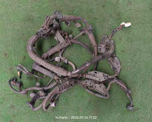 TOYOTA HILUX REVO ENGINE WIRING (WRG0120)