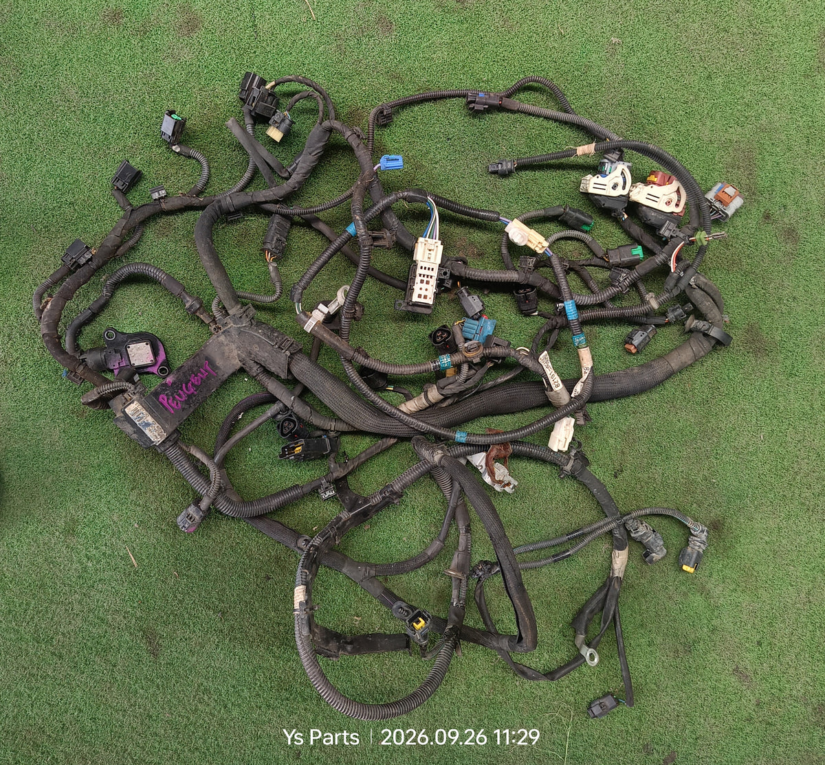 PEUGEOT ENGINE WIRING (WRG0121)