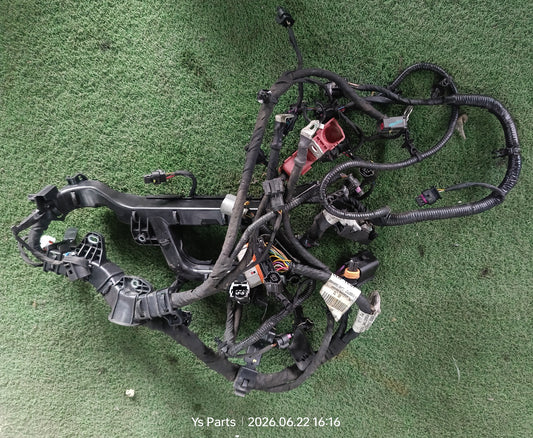 PROTON X50 ENGINE WIRING (6600293992)