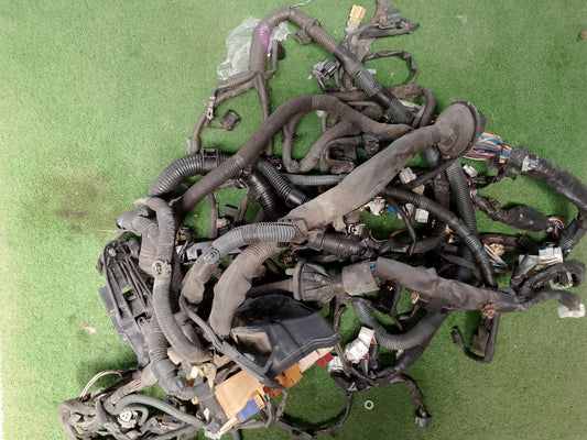 TOYOTA WISH 2008 ENGINE / FUSEBOX WIRING (WRG0114)