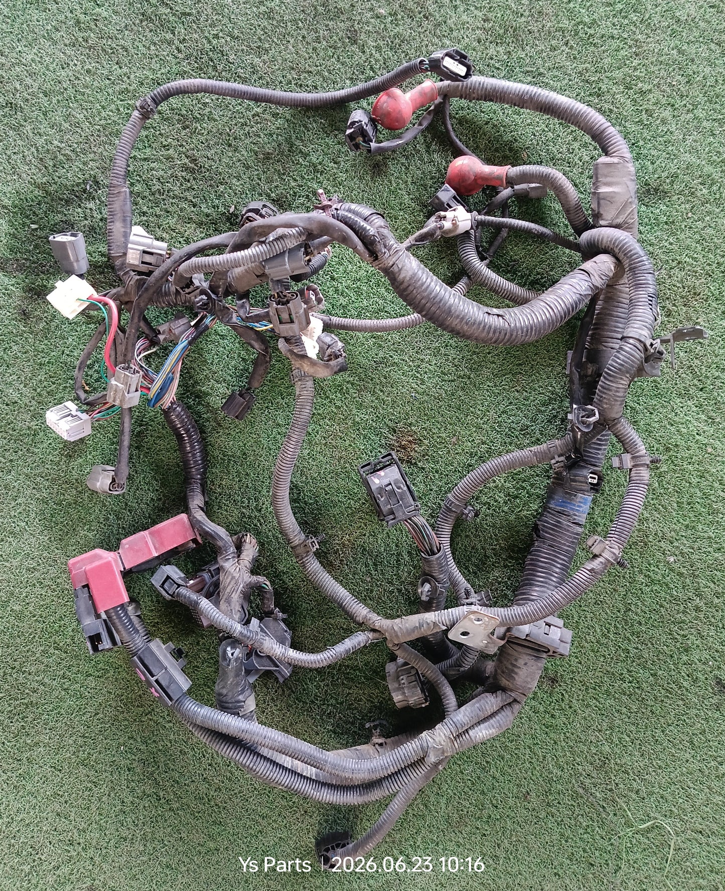 NISSAN ALMERA N17 ENGINE / GEARBOX WIRING (WRG0034)