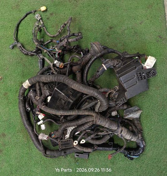 NISSAN NAVARA D40 FUSEBOX WIRING (24012-4KV6E)